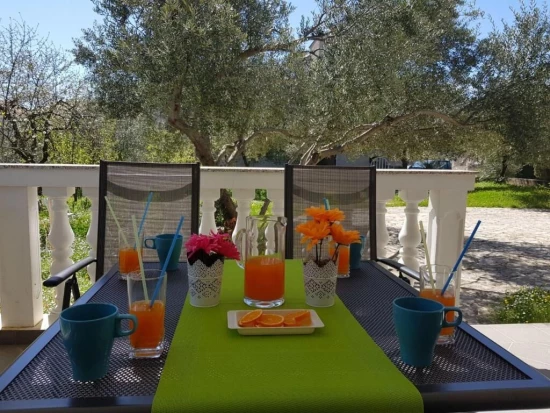 Apartmán Severní Dalmácie - Vodice DA 8472 N2