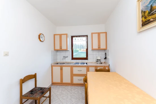 Apartmán Ostrov Rab - Lopar OS 10316 N6