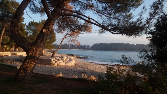 Apartmán Istrie - Rovinj IS 7201 N1