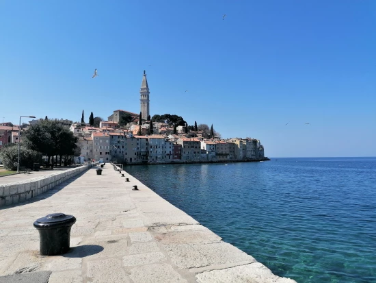 Apartmán Istrie - Rovinj IS 7201 N1