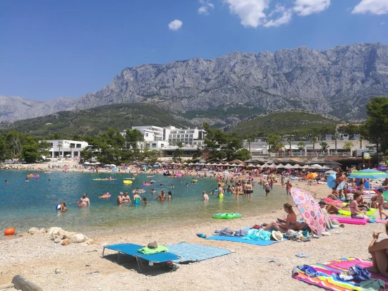 Apartmán Střední Dalmácie - Makarska DA 8574 N1