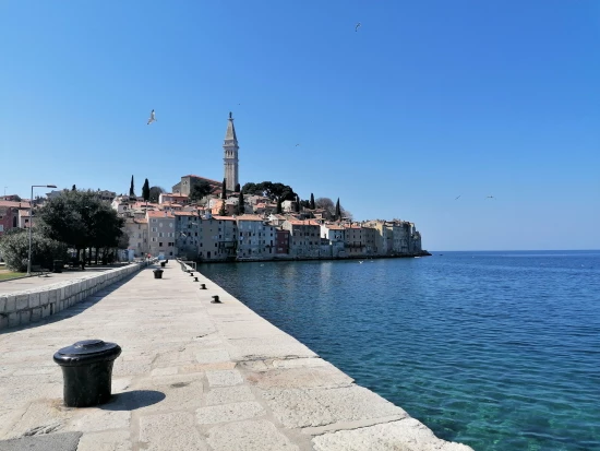 Apartmán Istrie - Rovinj IS 7210 N1