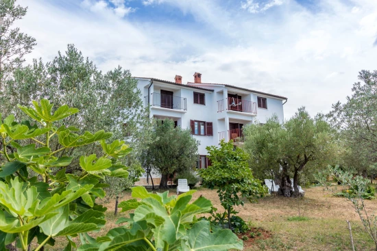 Apartmán Istrie - Fažana IS 7218 N3