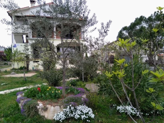 Apartmán Istrie - Rovinjsko Selo (Rovinj) IS 7225 N1