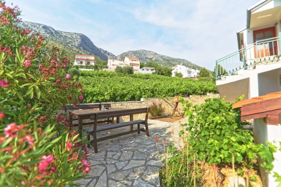 Apartmán Ostrov Hvar - Ivan Dolac OS 10502 N1