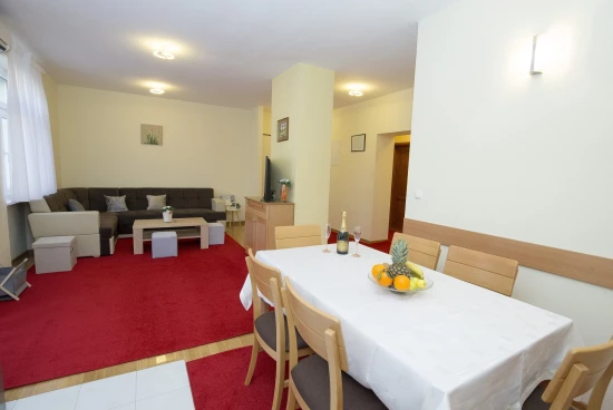 Apartmán Střední Dalmácie - Split DA 8833 N1