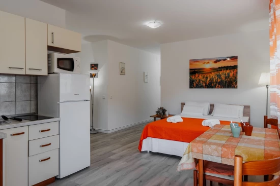 Apartmán Ostrov Vir - Vir OS 10530 N1