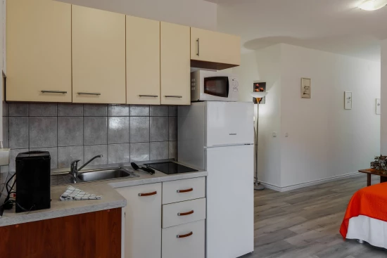 Apartmán Ostrov Vir - Vir OS 10530 N1