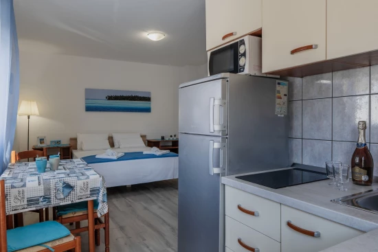 Apartmán Ostrov Vir - Vir OS 10530 N2