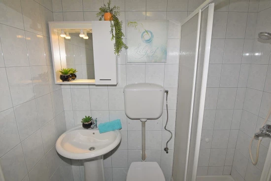 Apartmán Istrie - Fažana IS 7249 N1