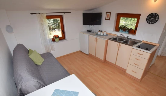 Apartmán Istrie - Fažana IS 7249 N2