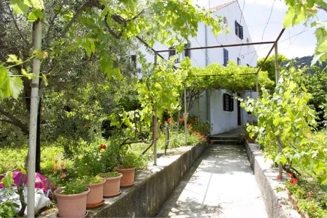 Apartmán Ostrov Lošinj - Veli Lošinj OS 10646 N2