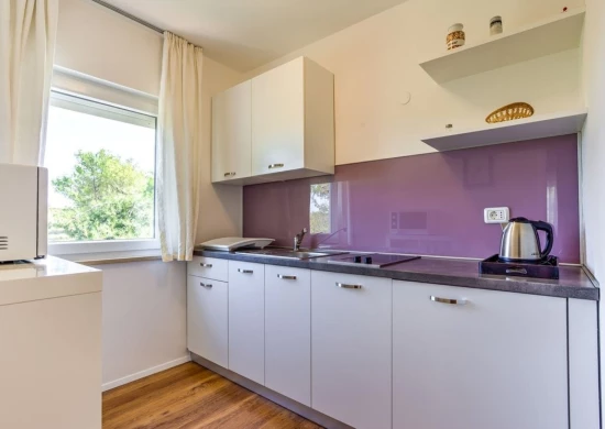 Apartmán Istrie - Zambratija (Savudrija) IS 7348 N5