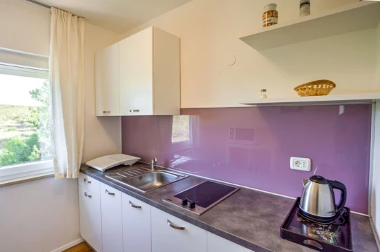 Apartmán Istrie - Zambratija (Savudrija) IS 7348 N5