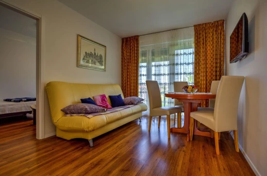 Apartmán Istrie - Zambratija (Savudrija) IS 7348 N5