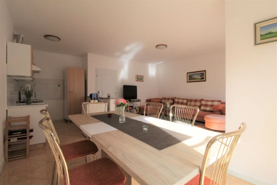 Apartmán Istrie - Zambratija (Savudrija) IS 7371 N1