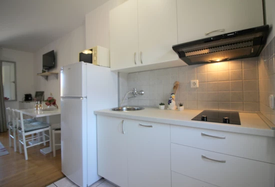 Apartmán Istrie - Červar-Porat IS 7420 N1