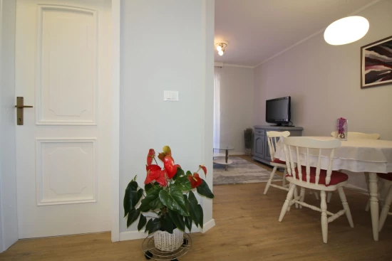 Apartmán Istrie - Poreč IS 7450 N2