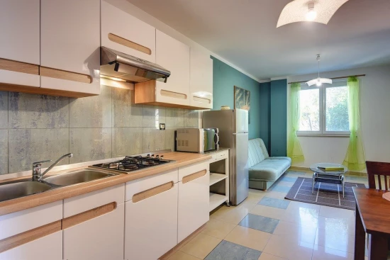 Apartmán Istrie - Ližnjan IS 7482 N5