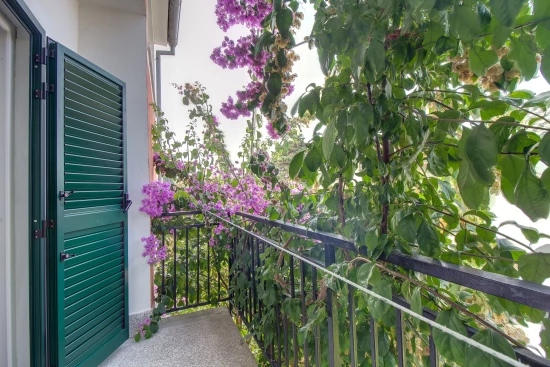 Apartmán Ostrov Lošinj - Mali Lošinj OS 10994 N1