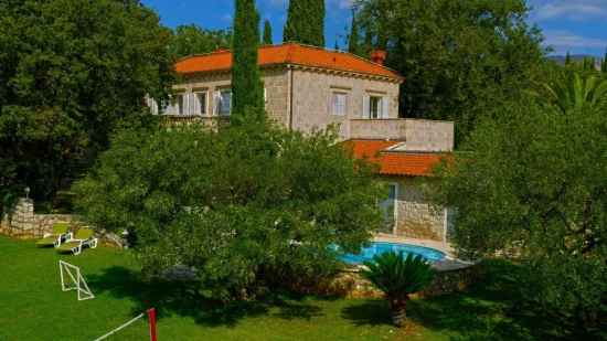 Vila Jižní Dalmácie - Dubrovník DA 9942 N1