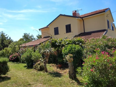 Apartmán Istrie - Zambratija (Savudrija) IS 7681 N1