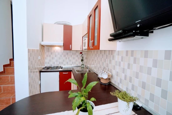 Apartmán Istrie - Zambratija (Savudrija) IS 7697 N1