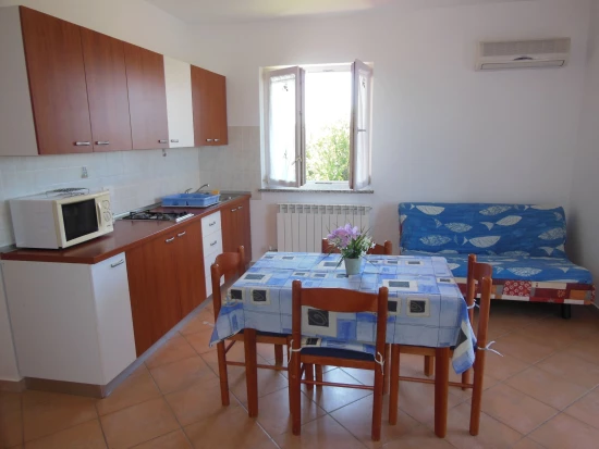 Apartmán Istrie - Zambratija (Savudrija) IS 7803 N1