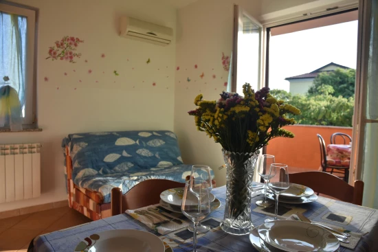 Apartmán Istrie - Zambratija (Savudrija) IS 7803 N2