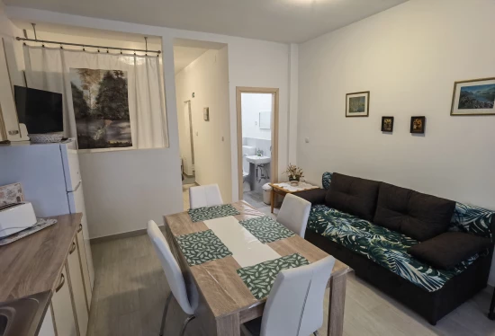 Apartmán Kvarner - Opatija KV 10164 N1