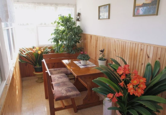 Apartmán Ostrov Korčula - Korčula OS 11236 N3