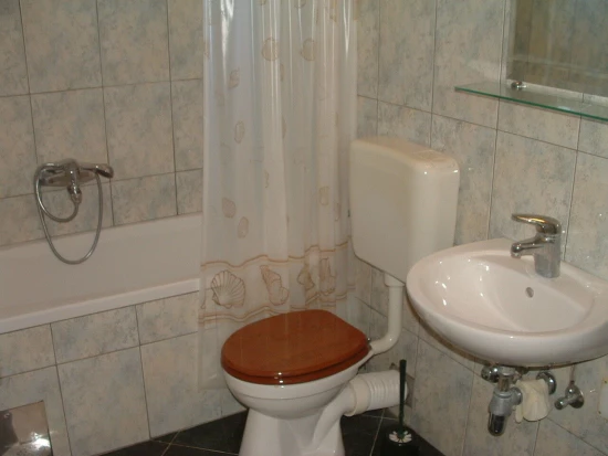 Apartmán Střední Dalmácie - Vinišće DA 9976 N5