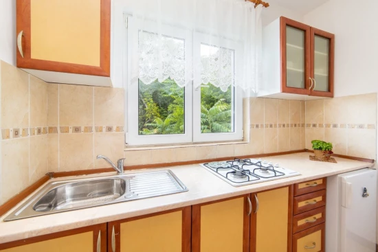 Apartmán Střední Dalmácie - Brist (Gradac) DA 9988 N4