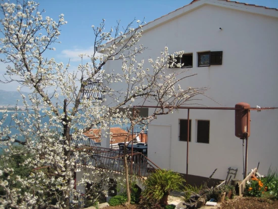 Apartmán Střední Dalmácie - Trogir DA 9989 N1