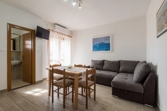 Apartmán Severní Dalmácie - Privlaka DA 10030 N1