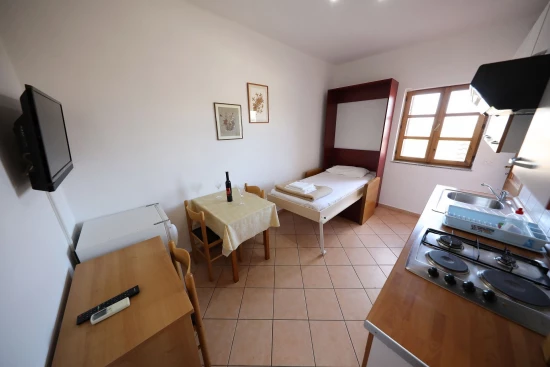 Apartmán Severní Dalmácie - Privlaka DA 10030 N3