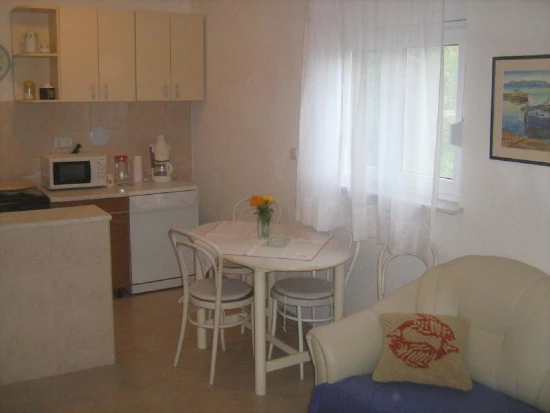 Apartmán Severní Dalmácie - Privlaka DA 10031 N1