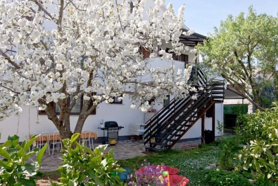 Apartmán Istrie - Novigrad IS 7859 N1