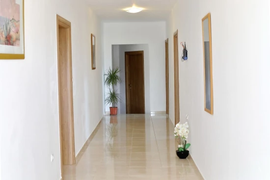 Apartmán Severní Dalmácie - Bibinje DA 10046 N5