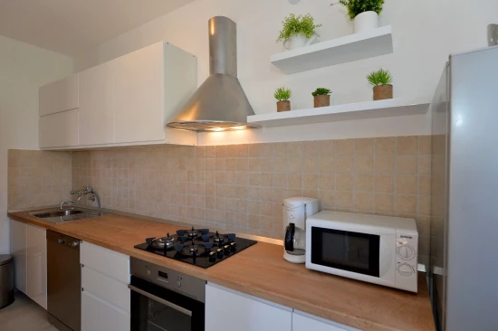 Apartmán Severní Dalmácie - Biograd na Moru DA 10079 N1