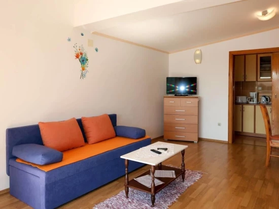 Apartmán Střední Dalmácie - Gradac DA 10095 N4