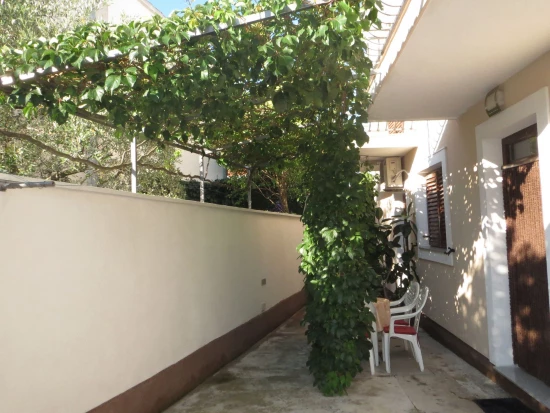 Apartmán Severní Dalmácie - Biograd na Moru DA 10113 N1