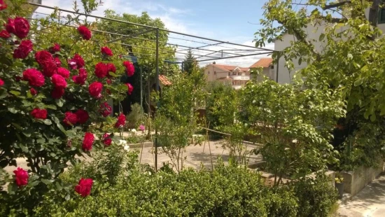 Apartmán Severní Dalmácie - Vodice DA 10117 N2