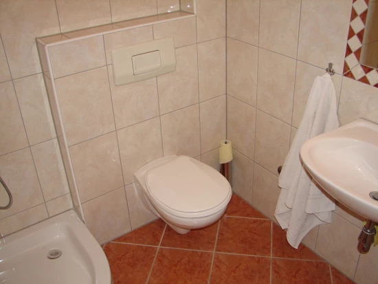 Apartmán Střední Dalmácie - Staniči DA 10125 N1