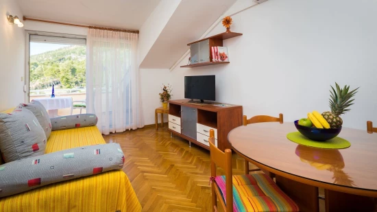 Apartmán Střední Dalmácie - Baška Voda DA 10130 N1