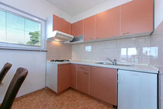 Apartmán Střední Dalmácie - Brela DA 10137 N4