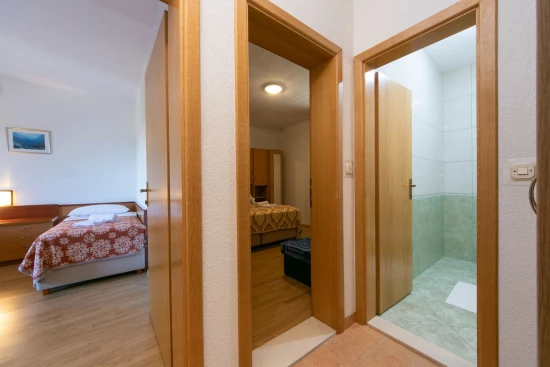 Apartmán Střední Dalmácie - Brela DA 10137 N5