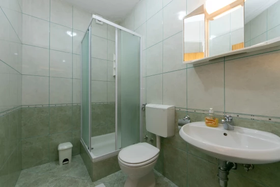 Apartmán Střední Dalmácie - Brela DA 10137 N5