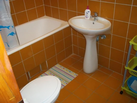 Apartmán Severní Dalmácie - Petrčane DA 10144 N1