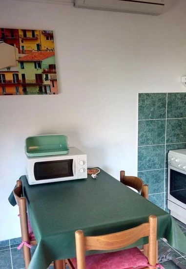 Apartmán Severní Dalmácie - Petrčane DA 10145 N1